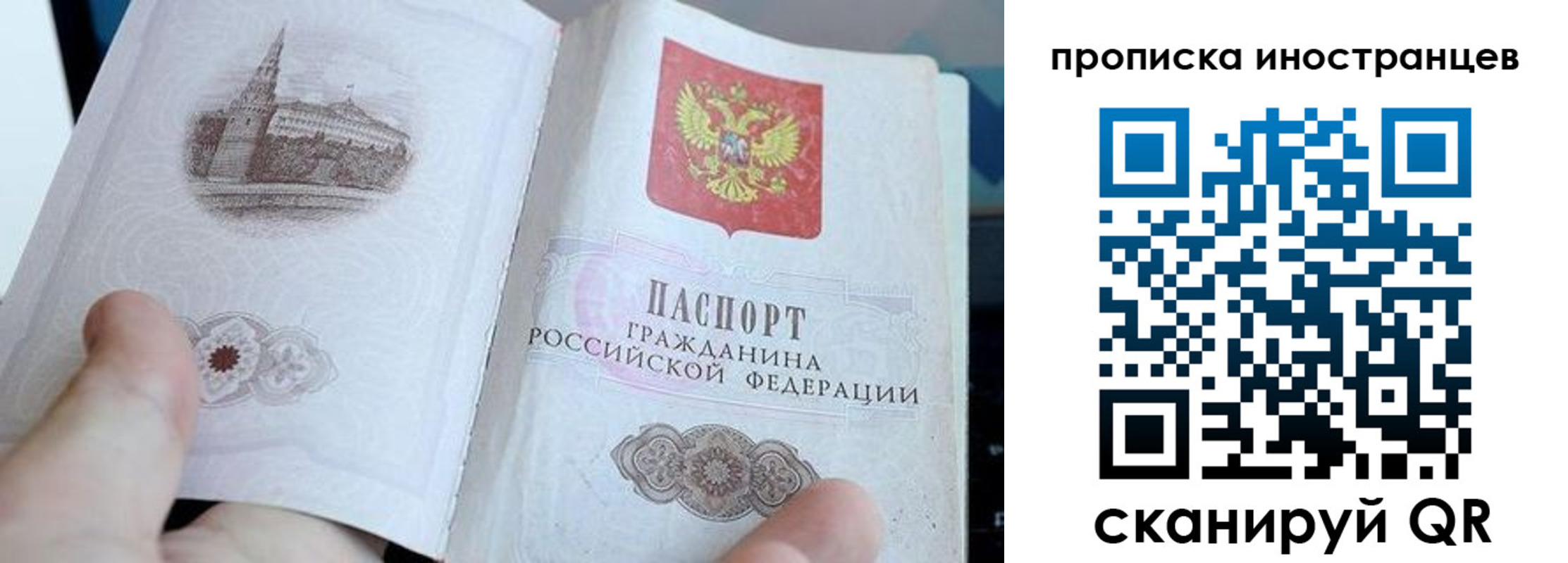 прописка поиск в Елабуге